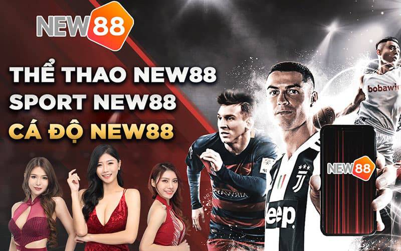Hướng dẫn Betvip - Bạn đang muốn tìm thông tin nào về Betvip?